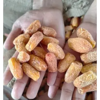 Fresh Dry Dates